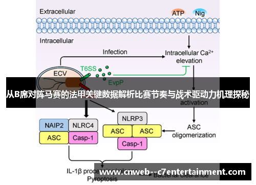 从B席对阵马赛的法甲关键数据解析比赛节奏与战术驱动力机理探秘