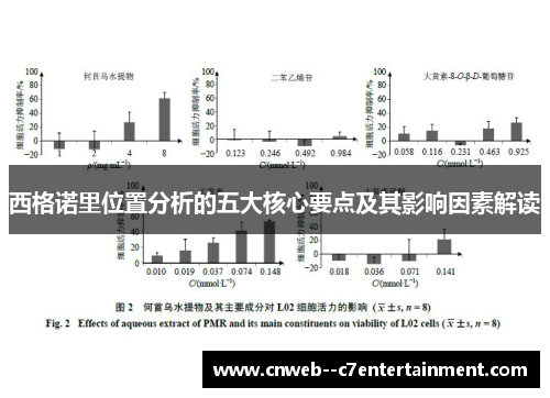 西格诺里位置分析的五大核心要点及其影响因素解读