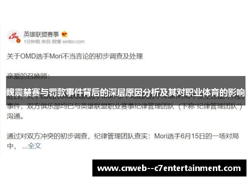 魏震禁赛与罚款事件背后的深层原因分析及其对职业体育的影响